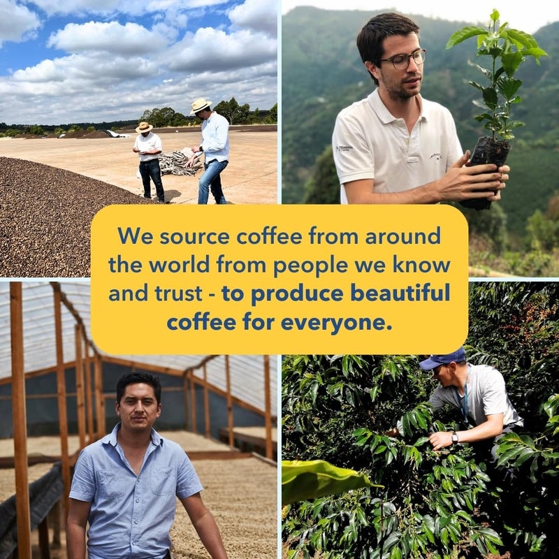 PARTNERS COFFEE ROASTERS - Whole Bean Coffee (El Ramo - Colombian, Light Roast) 12oz - Sweet, Nuanced Colombian Blend - Peach, Fresh Cream, Vanilla - Whole Coffee Beans - Roasted in New York City - Image 5